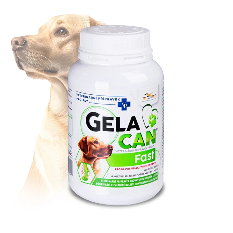 ORLING Gelacan Fast 150g