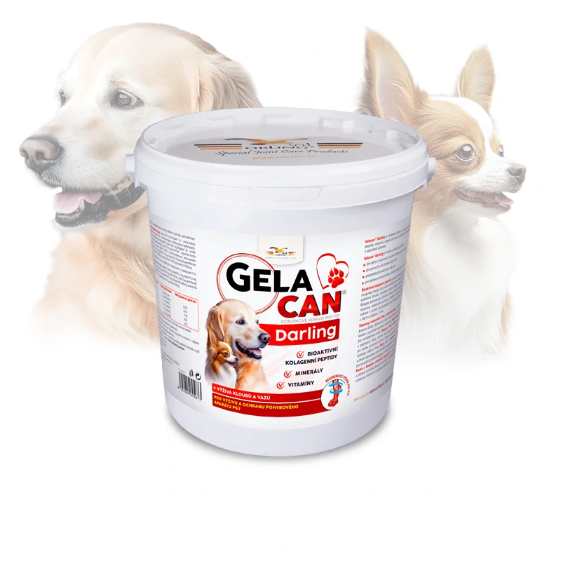 ORLING Gelacan Darling 5kg