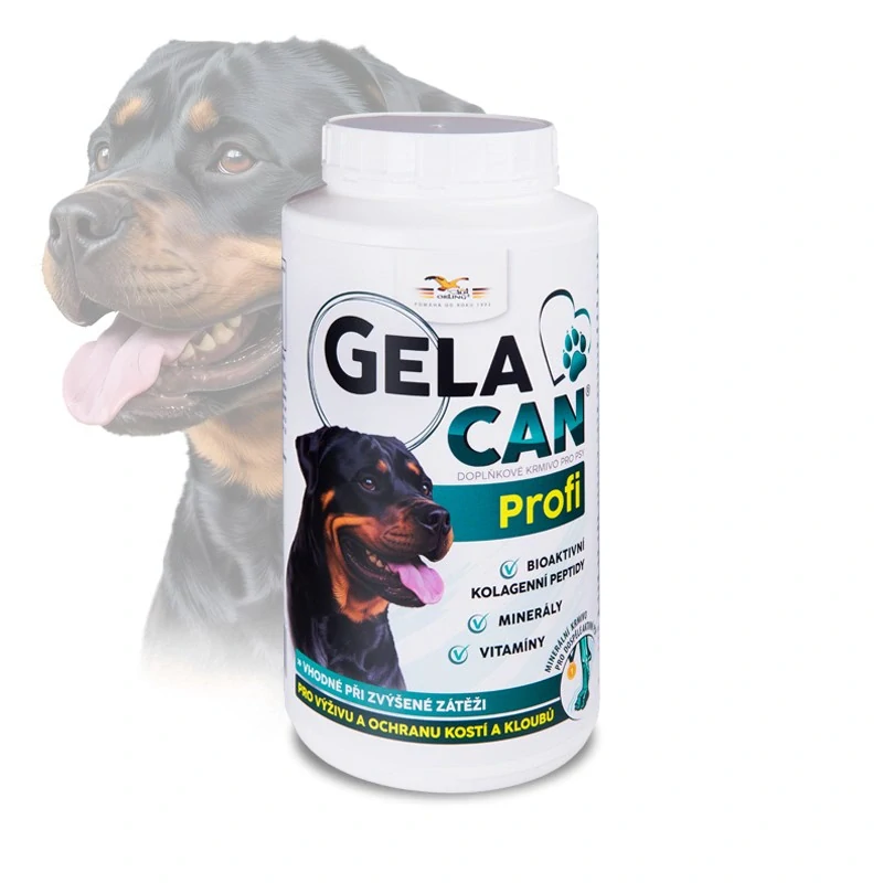 ORLING Gelacan Profi 1000g