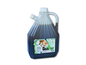 ORLING Gelapony Fast Biosol 3000ml