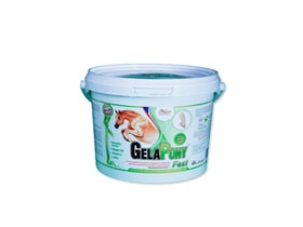 ORLING Gelapony Fast 600g