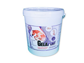 ORLING Gelapony Arthro 10,8kg
