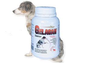 ORLING Gelacan Senior 150g