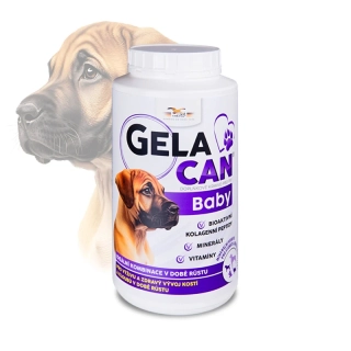 ORLING Gelacan Baby 1000g